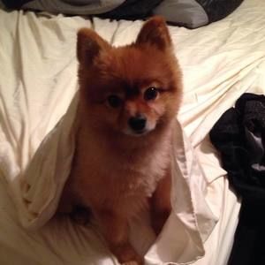 Meet your Posher, Katherine